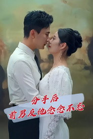 分手后前男友他念念不忘 封面