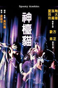 神檯貓 封面