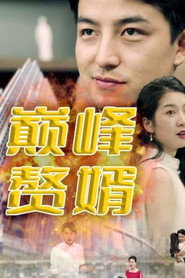 巅峰赘婿 封面