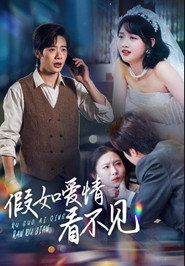 假如爱情看不见 封面