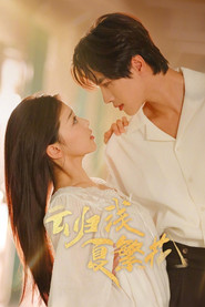 云归浅夏繁花 封面