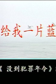 给我一片蓝天 封面