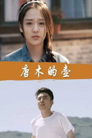 唐木的壶 封面