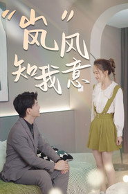 “岚”风知我意 封面