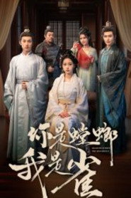 你是螳螂我是雀 封面
