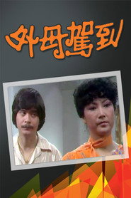 外母驾到 封面