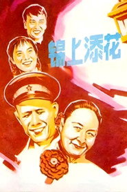锦上添花 封面
