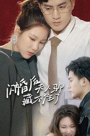 闪婚后夫人马甲藏不住了 封面