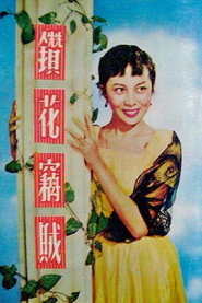 鑽花竊賊 封面