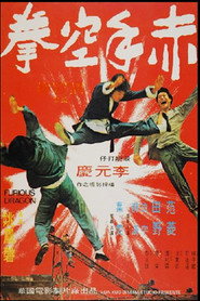 赤手空拳 封面