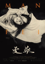曼菲 封面
