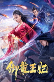 御龙王妃 封面