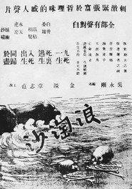 浪淘沙 封面