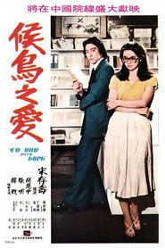 候鳥之愛 封面