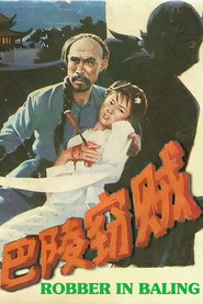 巴陵竊賊 封面