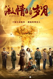 激情的岁月 封面