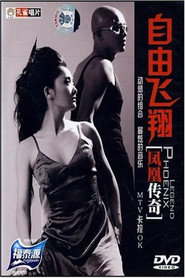 自由飞翔 封面