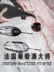 法国葡萄酒大师 封面
