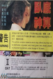 臥底神算 封面