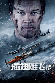 插翅难飞 封面