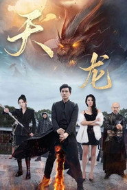 天龙 封面