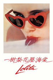 洛丽塔 封面