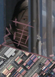 莲 封面