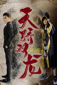 天骄双龙 封面