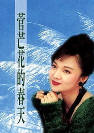 菅芒花的春天 封面