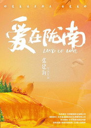 爱在陇南 封面
