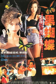 黑蝴蝶 封面
