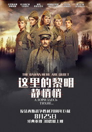 这里的黎明静悄悄 封面