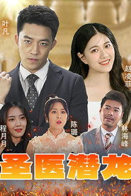 圣医潜龙 封面