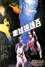 走过迷魂谷 封面
