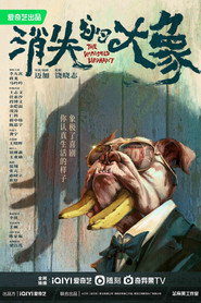 消失的大象 封面