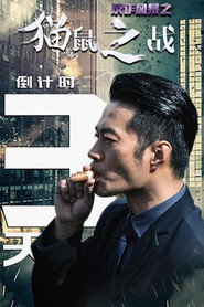 反诈风暴之猫鼠之战 封面
