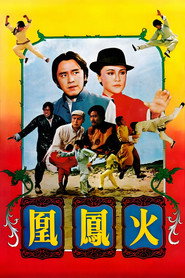 火凤凰 封面