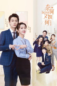 奈何BOSS又如何 封面