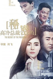 高冷总裁的秘密 封面