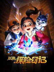 赵琳的探险日记 封面