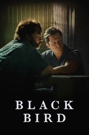 Black Bird 封面