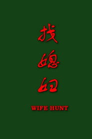 找媳妇 封面