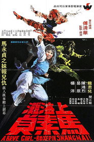 十面威風 封面