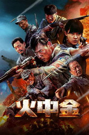 火中金 封面