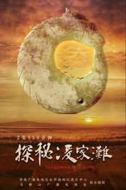 探秘凌家滩 封面