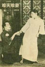 难夫难妻 封面