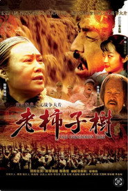 老柿子树 封面