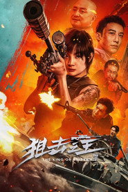 狙击之王:暗杀 封面