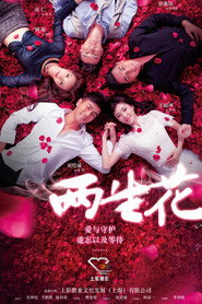 两生花 封面