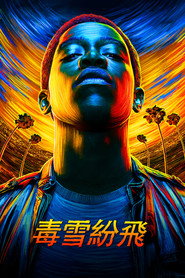 白粉飞 封面